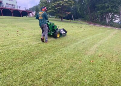 Lawn service 8